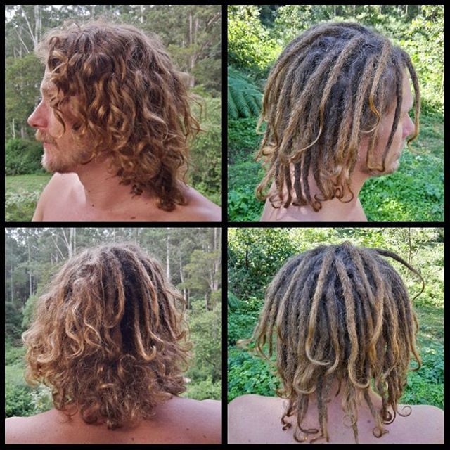 Getting Dreads Naturally Getting Dreads Naturally