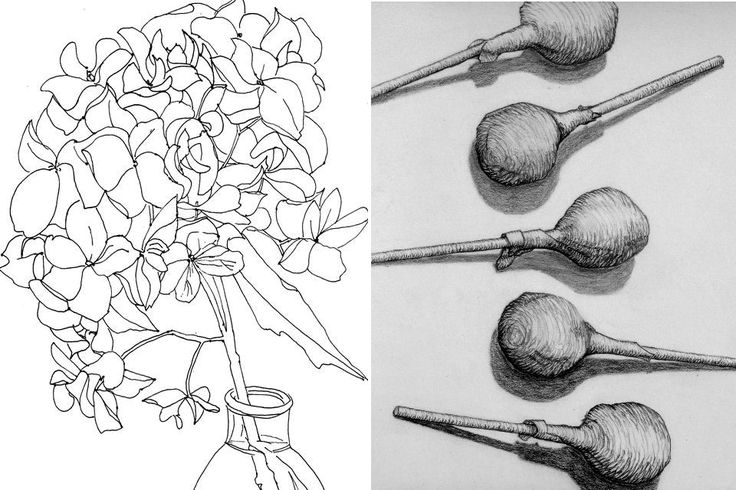 Contour Line Drawing Powerpoint : Best cross contour lines images on pinterest line