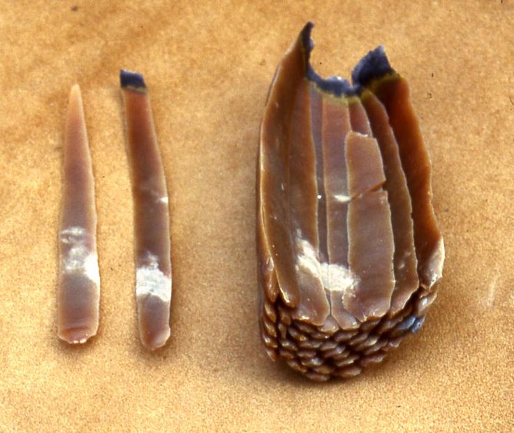 What Natural Resources Did Early Humans Use What Natural Resources Did Early Humans Use