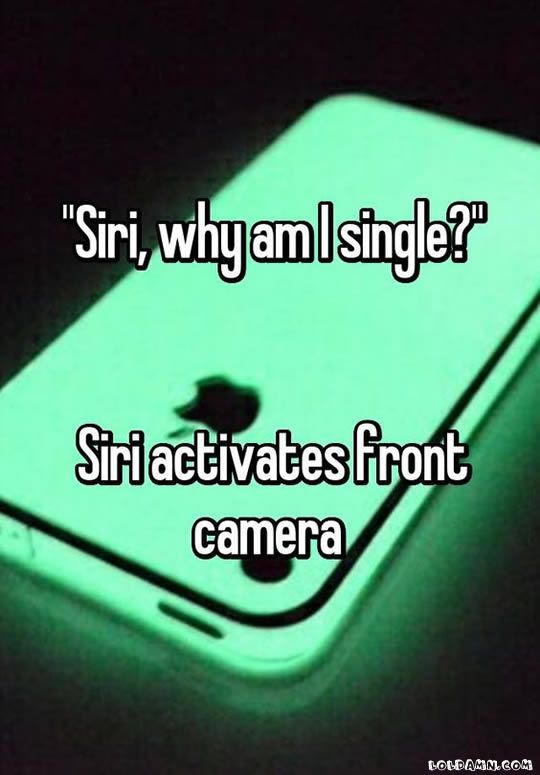 Single line funny sayings