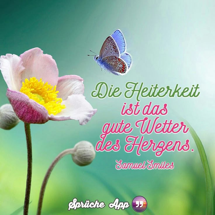 Flirtsprüche an frauen