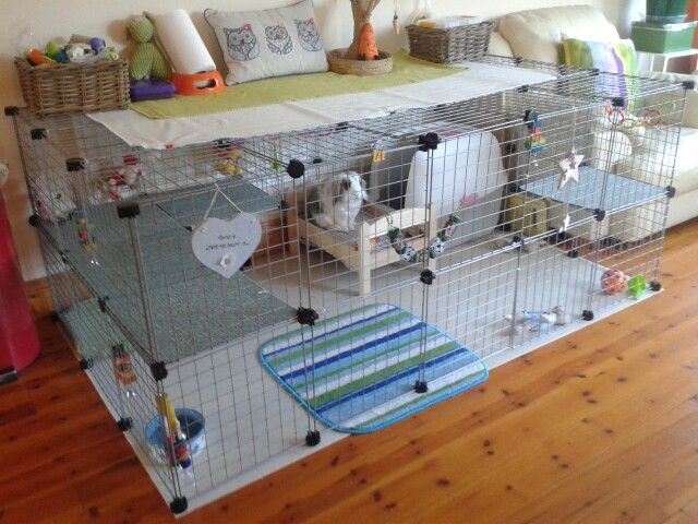 200 best bunny cages, housing and diy condos images on pinterest 200 best bunny cages, housing and diy condos images on pinterest