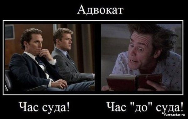 Днем, смешные картинки об адвокатах