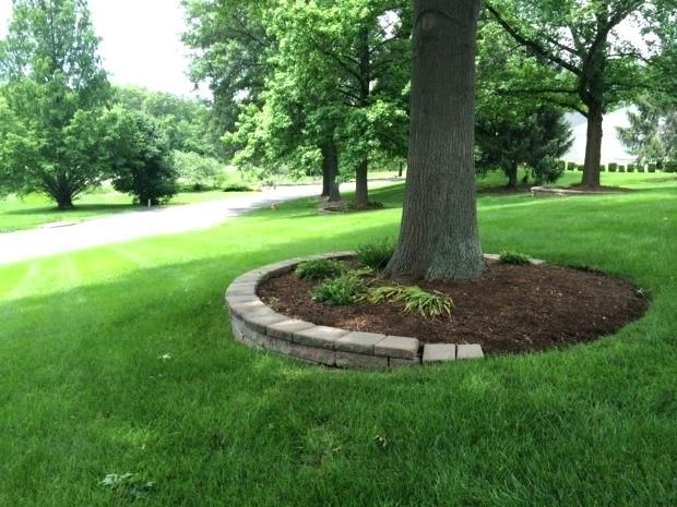 Landscaping Ideas Around Oak Trees Landscape Design Under