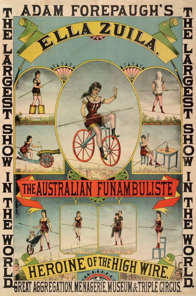 detail of the australian funambulist by anonymous a curious