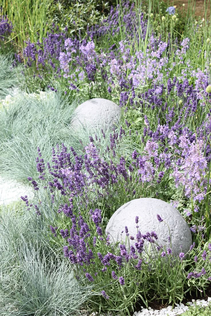 best 25+ mediterranean garden ideas on pinterest | mediterranean best 25+ mediterranean garden ideas on pinterest | mediterranean