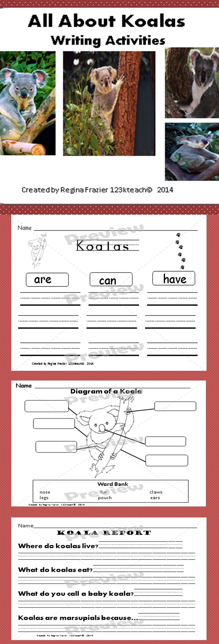 Koala essay