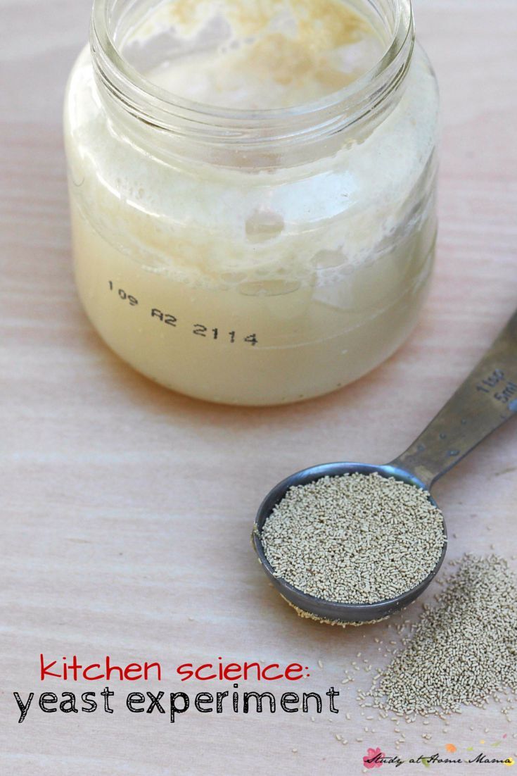 Simple Kitchen Experiments 89 best food science images on pinterest | food science, science Simple Kitchen Experiments 89 best food science images on pinterest | food science, science