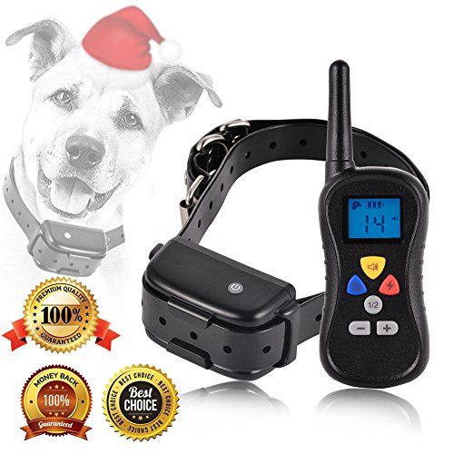 whats the best dog training shock collar