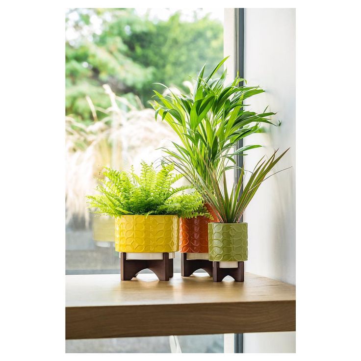 2,633 Likes, 89 Comments - Orla Kiely (@orlakiely) on