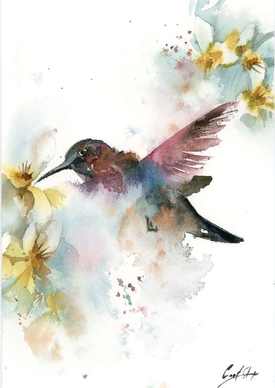 Animals For Watercolor Birds Flying Bird Drawings