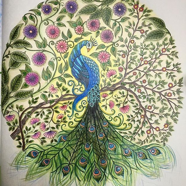 Jardimsecreto Johannabasford Colorindo Colouringbook Antiestressecolouringbook Pavao Livrodecolorir Flores