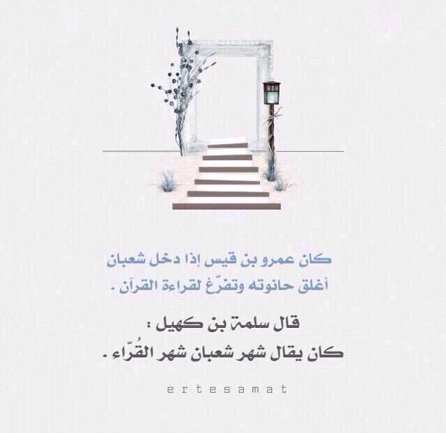 pin on islamic quotes
