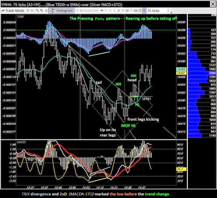 Do pattern day trading rules apply to forex