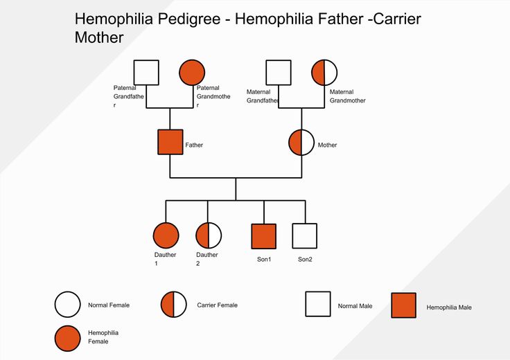 Genogram Symbols Edraw in 2021 Genogram template