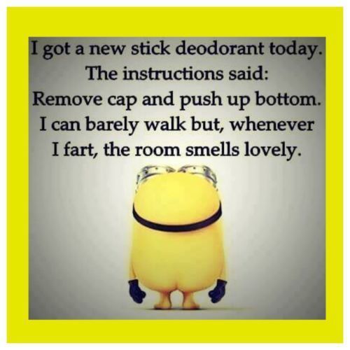 Minion Meme New Stick Of Deodorant Flexible Fridge Magnet #minions #funnymemes #...