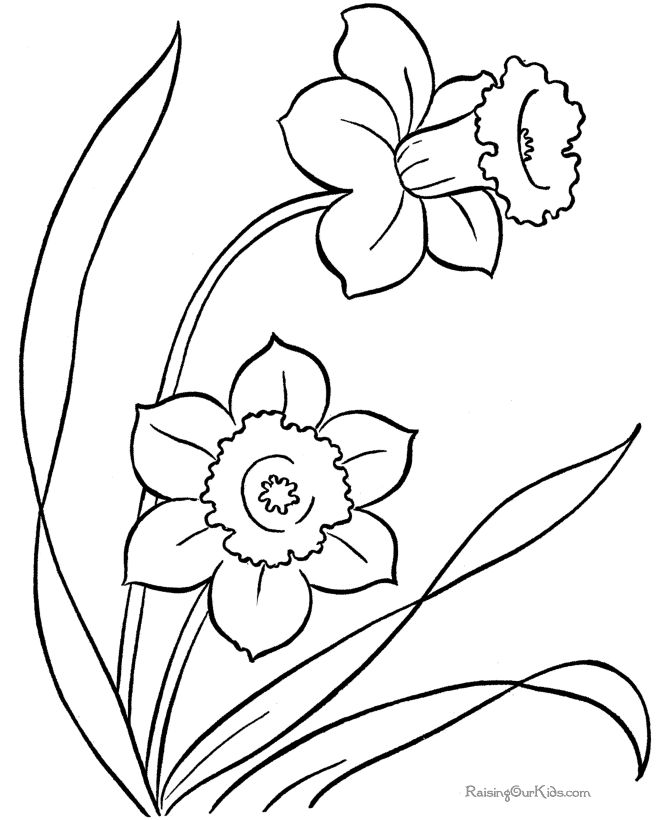Flowers coloring pages printable flower coloring pages these printable flower coloring pages are free coloring pictures and sheets of f Flowers coloring pages printable flower coloring pages these printable flower coloring pages are free coloring pictures and sheets of f