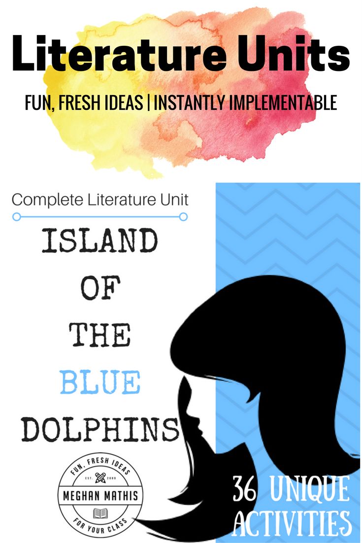 Island of the blue dolphins essay