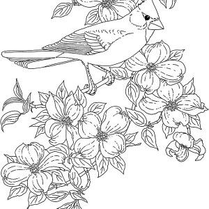 395 best adult and teen coloring pages images on Pinterest ... 395 best adult and teen coloring pages images on Pinterest ...