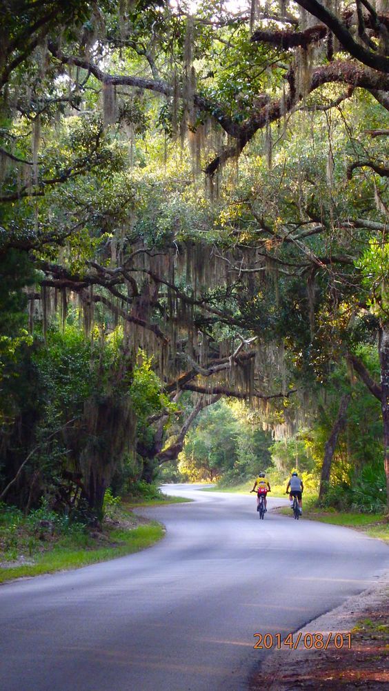 Amelia Island Florida Free Camping Amelia Island Florida Free Camping