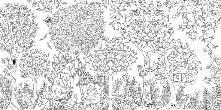 Enchanted Forest An Inky Quest Coloring Book