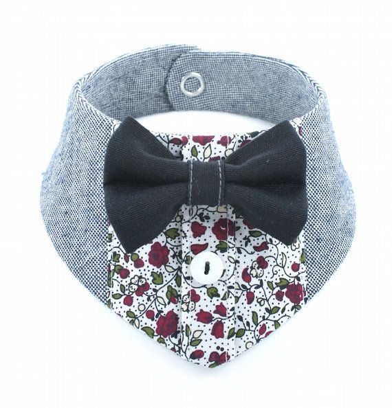 Best 10+ Dog bandana i...