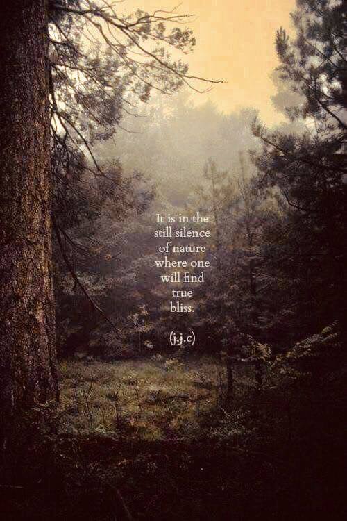 Find True Bliss Nature Quotes Adventure Quotes Famous Quotes find-true-bliss-nature-quotes-adventure-quotes-famous-quotes