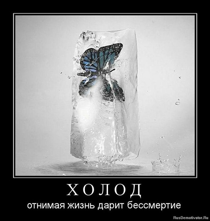 Картинки про морозную погоду прикольные с надписями