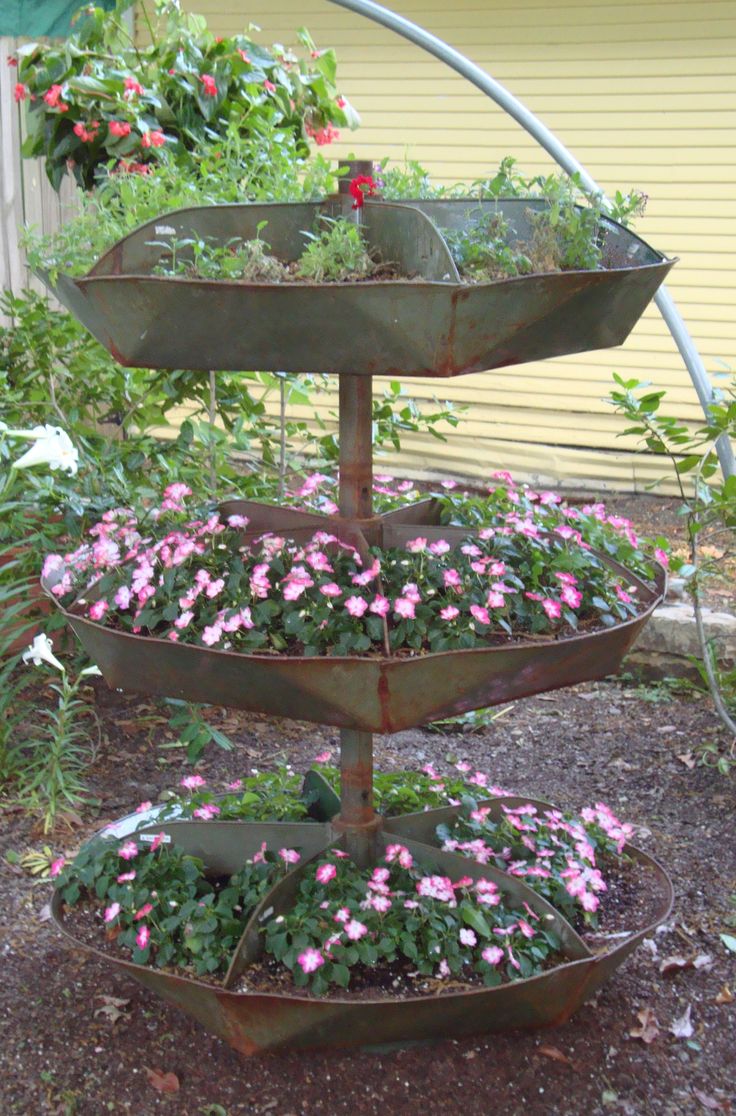 579 Best Garden Creative Ideas Images On Pinterest Plants Planted old hardware store nailbin - 579 Best Garden Creative Ideas Images On Pinterest Plants
