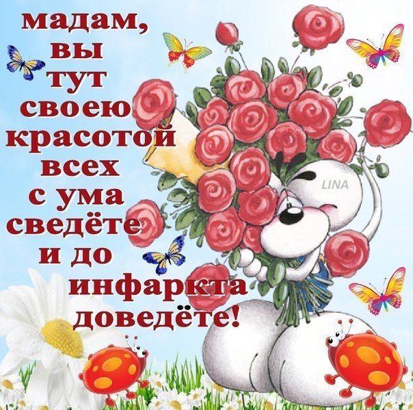 Открытки прикольные комплименты