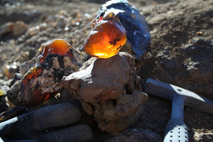 Fire on the Ridge – Oregon’s Premier Fire Opal – Update – 7-1-2019