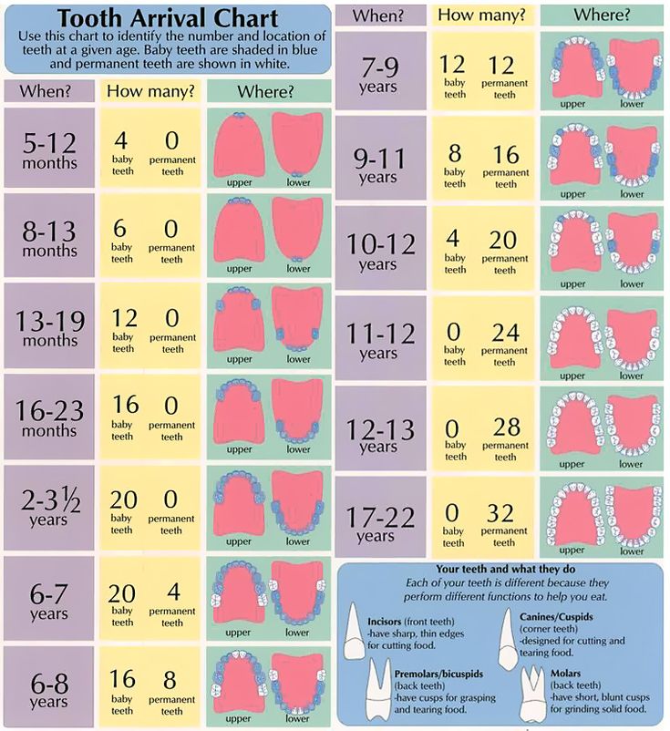 34 best school projects images on pinterest dental assistant study dental assistant charting games