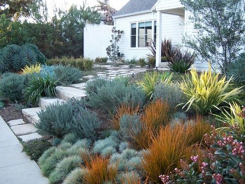 California Landscaping Ideas best 20+ california drought ideas on pinterest | drought tolerant California Landscaping Ideas best 20+ california drought ideas on pinterest | drought tolerant