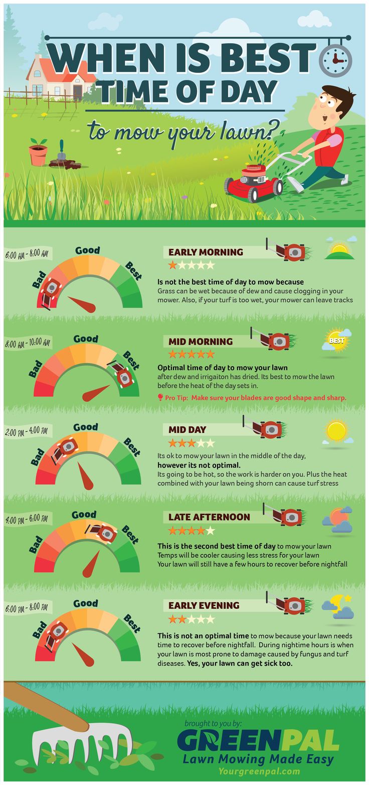 lawncare ad