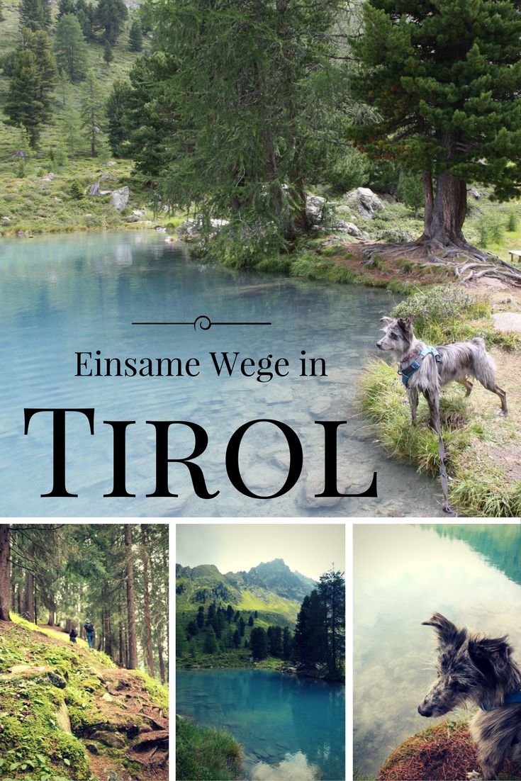 Single urlaub österreich wandern