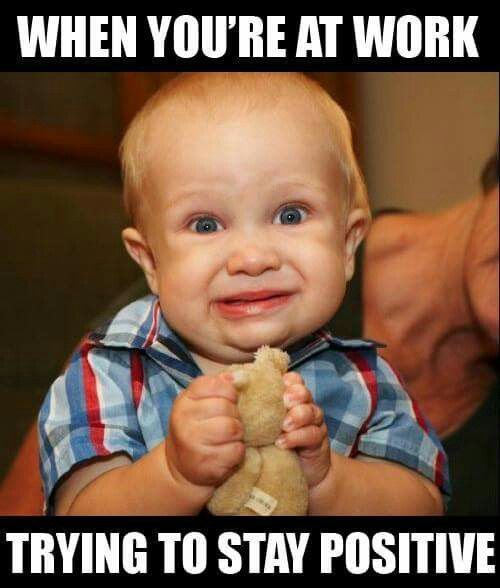 best 25 monday memes ideas on pinterest funny monday pictures 1b9a249d2782bef285e431e12de69fcf funny monday memes funny memes best 25 monday memes ideas on pinterest funny monday pictures,Memes Funny Pictures