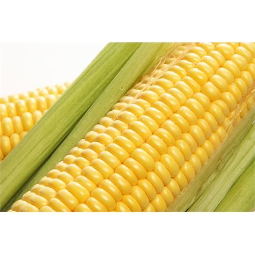 Can You Reheat Corn On The Cob On The Grill How To Reheat Corn On The Cob So It S Juicy Crunchy And Sweet Corn On Cob Microwave Corn On Cob Cob