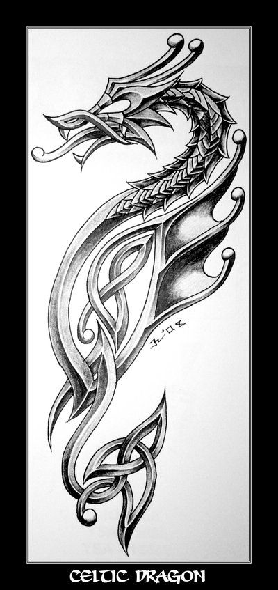 Celtic Dragon Tattoo Design Because Im Irish And I Love Dragons Celtic Dragon Tattoo Design Because Im Irish And I Love Dragons