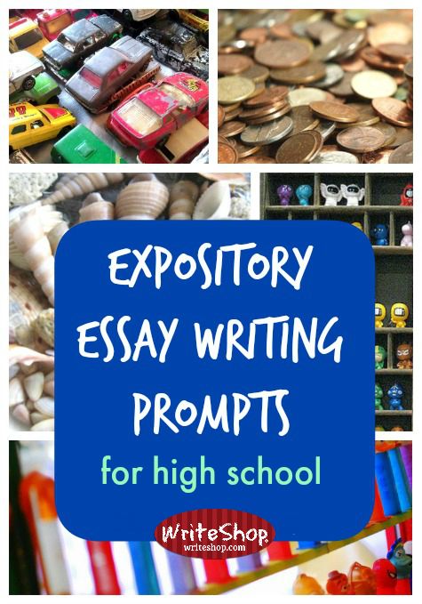expository essay examples high school