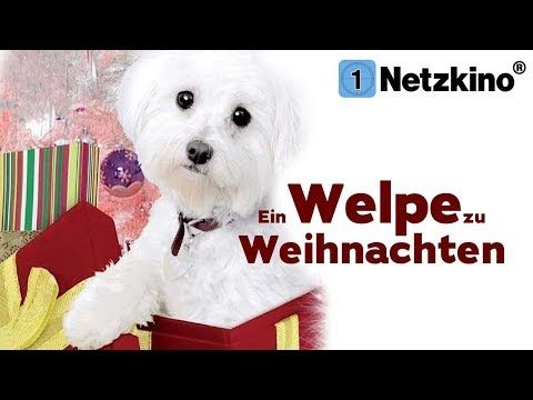 Kinderfilme Auf Deutsch Anschauen In Voller Länge Kinderfilme Auf Deutsch Anschauen In Voller Länge