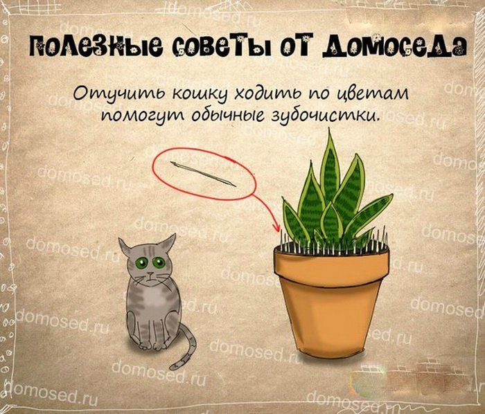 обязательно полезные советы про цветы с картинками при нагревании вводить