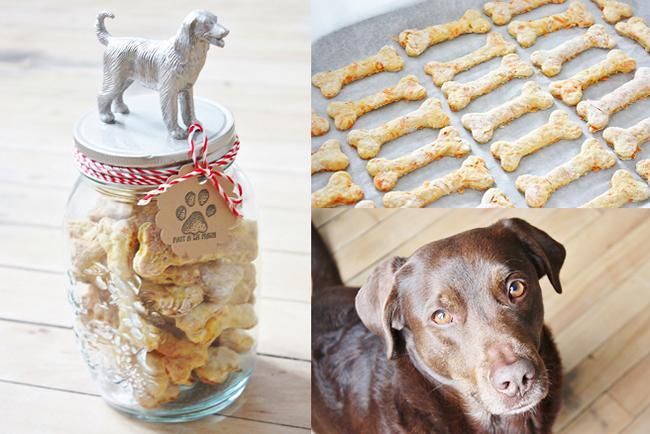 Biscuit Pour Chien Maison