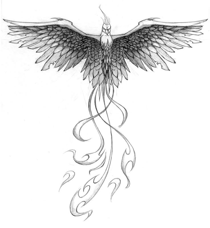 The Phoenix, a bird from Greek mythology is a symbol of rebirth and regeneration...