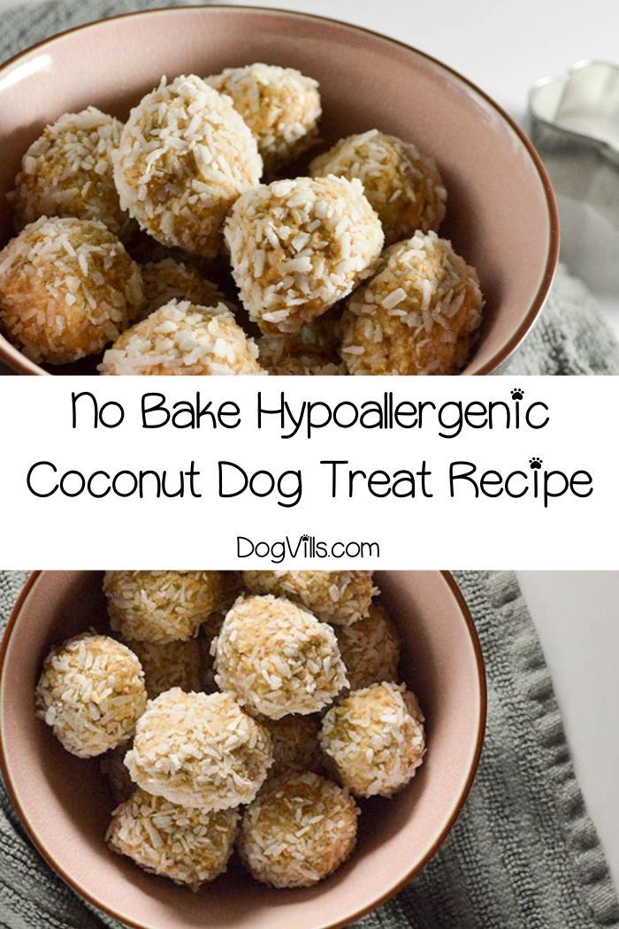 No Bake Coconut Dog Treat Recipe Homemade Dog Treats Dog