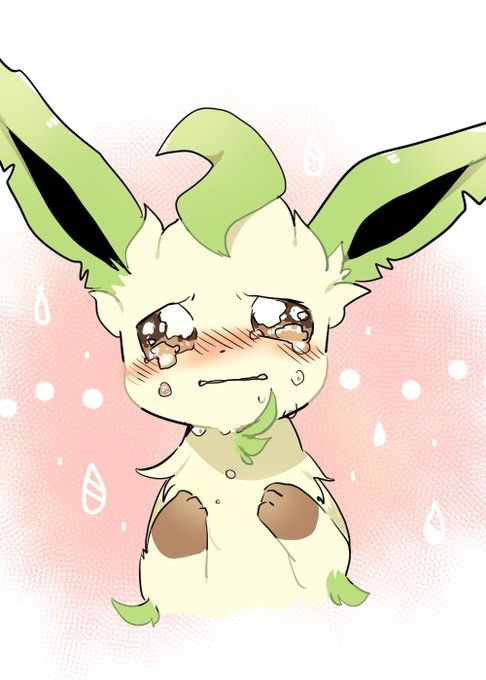 leafeon poor leafeon don