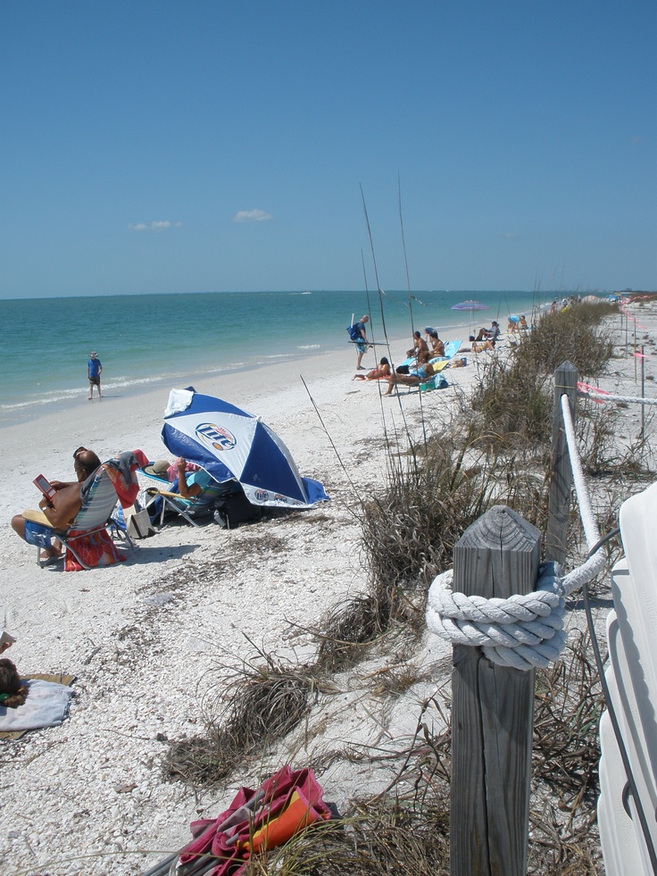 Dog Friendly Restaurants In Fort Myers Beach Florida Dog Friendly Restaurants In Fort Myers Beach Florida