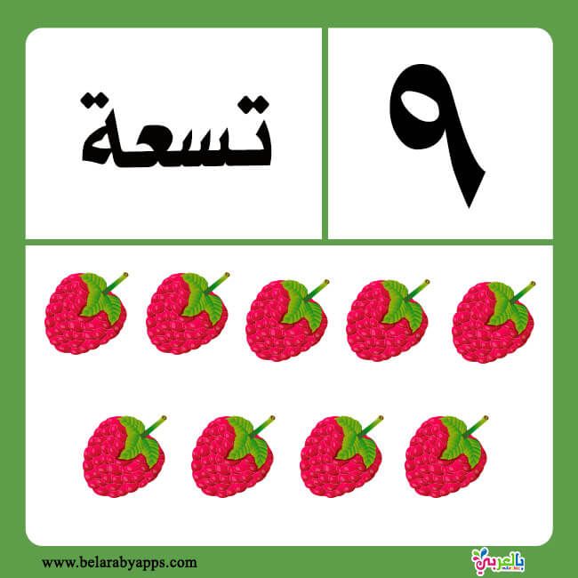 تعليم الارقام العربية للاطفال بطاقات الارقام بالحروف جاهزة للطباعة بالعربي نتعلم Preschool Math Worksheets Arabic Alphabet For Kids Arabic Kids