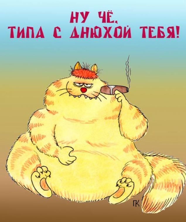 Приколы мультика, открытка после дня рождения с приколом