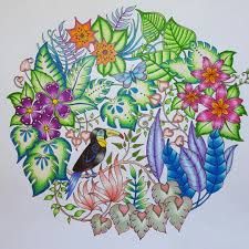 Image Result For Johanna Basford Magical Jungle