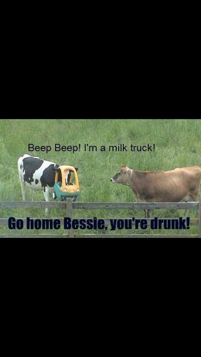 66 best your drunk, go home images on pinterest funny shit 1c1bc3ee3b1a6d74f0e072892e002bea so funny funny shit 66 best your drunk, go home images on pinterest funny shit,Go Home Bessie You Re Drunk Meme